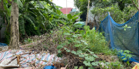 Tiến Mai cần bán gấp lô đất 77m2 tại Xuân Khanh Sơn Tây Hà Nội LH: 0988601919