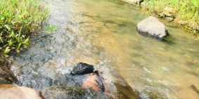 cần chuyển nhượng lô đất rừng sx