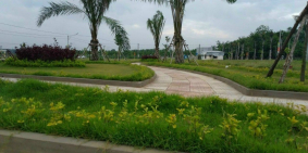 Đang kẹt tiền bán gấp lô đất 100m2 thổ cư, sổ hồng riêng, bao công chứng sang tê