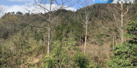 Bán mảnh đất gần trung tâm thương mại tại Mò Phú Chải , Y Tý