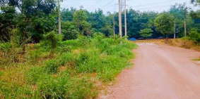 Chính chủ cần bán lô đất sào tại huyện Bàu Bàng