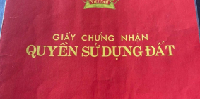 Đất thổ cư, sổ riêng 2 mặt tiền diện tích 245m2 ngay trung tâm Biên Hòa.