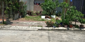 Bán đất dự án trung tâm Thành Phố Cẩm Phả - cách đường Đất Đỏ 20m