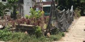 Bán lô góc Thượng Mỗ- Đan Phượng, diện tích 72m2, gần bờ mương Đan Hoài