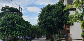 Đất nền ngay trung tâm thành phố Đồng Hới hàng cực hiếm!!