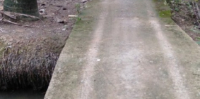 cần bán 3 công 5 đất vườn dừa .cách lộ dt 885 100m . cách uy ban xã mỹ thạnh . c