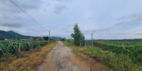 Bán Đất Mặt Tiền 4900m, 556 triệu, KP 7, T. trấn Tân Nghĩa, Bình Thuận