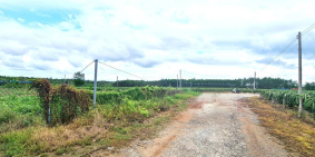 ĐƯỜNG NHỰA 8M- ĐẤT 1039m2- CHỈ 1 TỶ 599, TÂN XUÂN, HÀM TÂN, BÌNH THUẬN