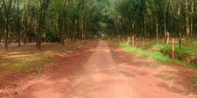 Gia đình cần bán lô đất mặt tiền DT741,Xã Long Hưng Phú Riềng Giá 458tr/150m2.