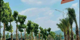 Shophouse 3 mặt đường lớn cạnh cổng chính Danko City còn duy nhất 2 lô