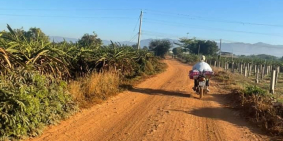 Bán 12,353m2 đất bắc bình gần liên huyện mặt tiền 85m chỉ 115k/m2 Lh 0385230667