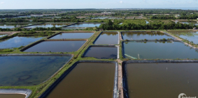 bán đất lý nhơn, cần giờ giá đàu tư mùa dịch