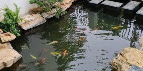 CẦN BÁN BIỆT THỰ,LIỀN KỀ TẠI TIME GARDEN VĨNH YÊN