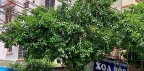 Chính Chủ Bán Nhà Mặt Phố Văn Phú Hà Đông 43m Lô Góc Kinh Doanh Cao