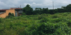 Cần Bán 110mTC Mặt tiền đường liên xã lộc an lộc đức