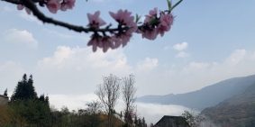 . Đất nền Y Tý – Sa Pa 2 Cơ hội đầu tư sinh lời cao