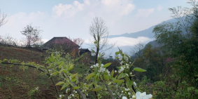 VỊ TRÍ VÀNG Y TÝ - BÁT XÁT Lào Cai -Bán Lô đất 2500m Mò Phú Chải giá cực rẻ VIEW