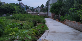 Đất nền tân trường gần khu công nghiệp 97m2-mt7m