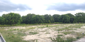 Chính chủ cần bán cụm phân lô(10 lô),chỉ 8,5 triệu/m² Cam Hải Tây Cam Lâm KH