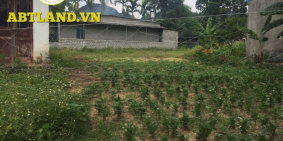 bán đất giá rẻ tại kim bôi, hòa bình