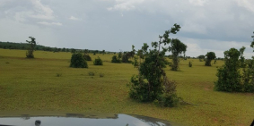 Chỉ 1,3 tỷ có ngay 1hecta đất hoà thắng gần đường nhựa ĐT 716 Lh 0385230667