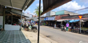 Bán vườn xoài Cát, Thái 1138m2 đường giao thông, sổ hồng riêng.