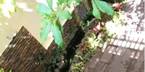 Bán Biệt thự 72/6 Trần Quốc Toản, P 8, Q 3, 402m2, 75 tỷ - 0931144449