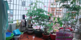 BÁN NHÀ NGUYỄN THƯỢNG HIỀN PHƯỜNG 5 QUẬN PHÚ NHUẬN 40M2 GIÁ 5 TỶ