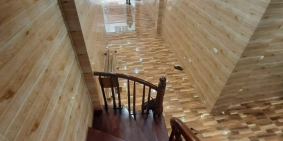 SIÊU PHẨM NGUYỄN ĐỨC CẢNHHOÀNG MAI