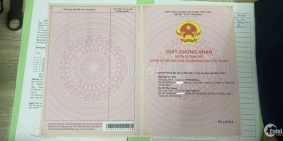 Cần bán nhà siêu vip Nguyễn Trãi Quận 5,TPHCM