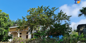 391m2 Vân Hòa Ba Vì Hà Nội giá cả LH A Tiến 0988601919