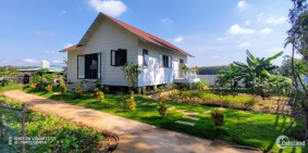 Bán gấp Dịch phức tạp gia đình thanh lý lô đất giá rẻ hơn thị trường, sổ sẵn