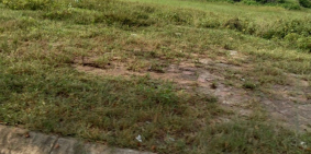 chủ nhà cần tiền nên bán căn Lk 100m2 tại KDT mới Thanh Hà cienco5