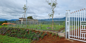 Đất thổ cư gần Tea Resort, Lộc Nga, diện tích lớn, giá tốt nhất Bảo Lộc