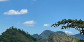 CƠ HỘI VÀNG để sở hữu 4,7H.a tại Phiêng Luông - Mộc Châu giá SIÊU RẺ