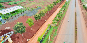 ĐẤT FULL THỔ CƯ CHỈ 4TR/M2 NGAY DT741 LIỀN KỀ TX PHƯỚC LONG