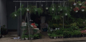 Bán nhà - bán đất mặt tiền đường Phan Huy Ích