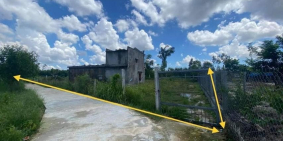 Bán nhanh miếng vườn cực rộng Tịnh Bình, Sơn Tịnh giá rẻ