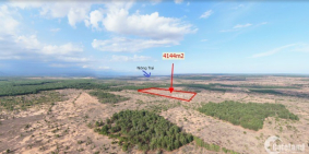 Bán đất bình thuận 4144m2 giá 538 triệu, (chiếc khấu 10% theo chính sách), sổ đỏ