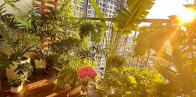 mua chung cu 2 phong ngu gia re