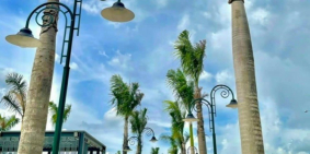 Phía sau chợ đầu mối nông sản còn 5 lô cần chuyển nhượng