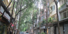 Tôi bán biệt thự Khu đô thị Xa La 160m2x4T chỉ 11.99 tỷ. LH 0989.62.6116