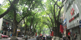 Mặt phố Phan Đình Phùng gần Phố Cổ, gần Hồ Tây 111m2 chỉ 66.66 tỷ.