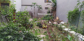 Bán đất Hồ Tùng Mậu vị trí đẹp, đầu tư tốt 55m2 x 4m giá hiếm 4.25 tỷ.