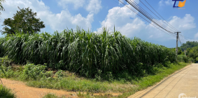 Siêu chất lô đất 2213m2 vị trí đẹp nằm tại Yên Bài - Ba Vì LH: 0586.22.9999