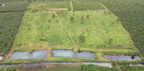 Đất nền Bảo Lộc chuẩn Resort 5 sao , giá 539 triệu