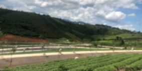 Đất nền Bảo Lộc, RESORT 5 SAO,giá chỉ 539 triệu