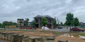 Mỏ Bạch Center Hills đê Nông Lâm chính thức ra hàng đợt 2