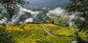 BÁN LỖ VÌ CẦN TIỀN lô đất 1800m2 đã có 460m2 tc tại Chiềng Sơn - Mộc Châu,Sơn La