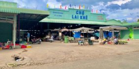 Cơ Hội Vàng 2 Suất Nội Bộ Cho 1000m2 Vị Trí Siêu Lợi Nhuận Tại Bàu Bàg